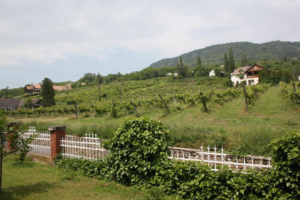 Bacchus Apartman - Borbarlang, Badacsony Badacsonytomaj Exterior photo